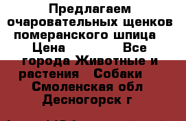 Предлагаем очаровательных щенков померанского шпица › Цена ­ 15 000 - Все города Животные и растения » Собаки   . Смоленская обл.,Десногорск г.